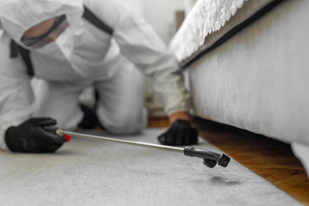 Professional Cockroach Control technician working in West Sharyland, TX