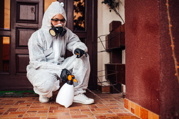 Reliable Cockroach Control contractor in West Sharyland, TX by Nex Pest Control