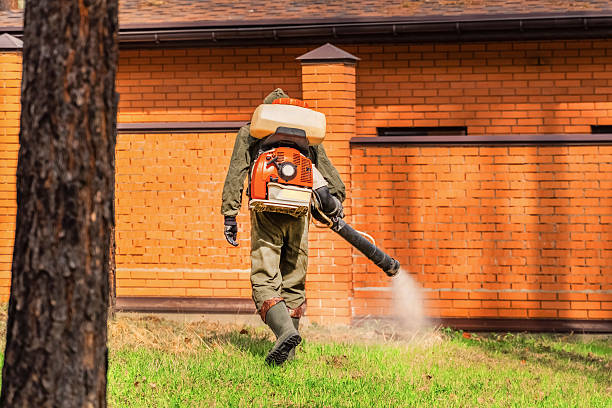 Trusted Cockroach Control service in West Sharyland, TX - Nex Pest Control